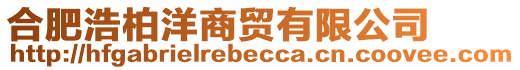 合肥浩柏洋商貿(mào)有限公司