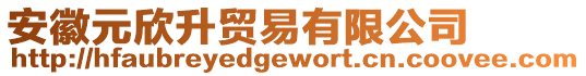 安徽元欣升貿易有限公司