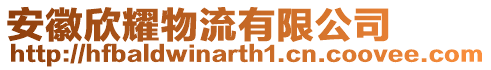 安徽欣耀物流有限公司