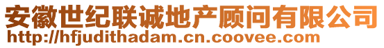 安徽世紀聯誠地產顧問有限公司