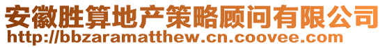 安徽勝算地產策略顧問有限公司