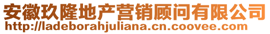 安徽玖隆地產營銷顧問有限公司