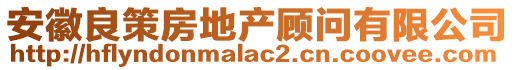 安徽良策房地產(chǎn)顧問有限公司