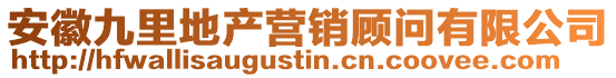 安徽九里地產營銷顧問有限公司