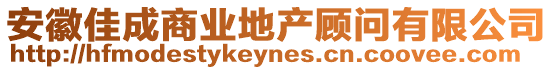 安徽佳成商業(yè)地產(chǎn)顧問(wèn)有限公司