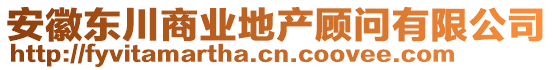 安徽東川商業(yè)地產(chǎn)顧問(wèn)有限公司