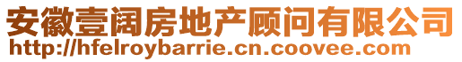 安徽壹闊房地產顧問有限公司