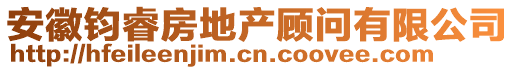 安徽鈞睿房地產顧問有限公司