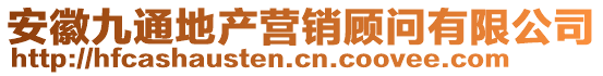 安徽九通地產營銷顧問有限公司