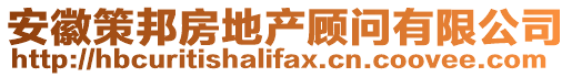 安徽策邦房地產顧問有限公司