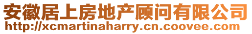 安徽居上房地產(chǎn)顧問有限公司