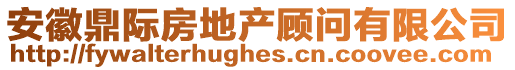 安徽鼎際房地產(chǎn)顧問(wèn)有限公司