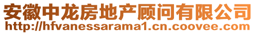 安徽中龍房地產(chǎn)顧問有限公司