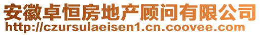 安徽卓恒房地產顧問有限公司