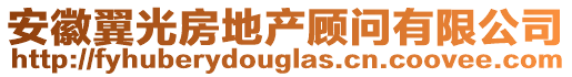 安徽翼光房地產顧問有限公司
