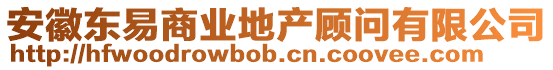安徽東易商業(yè)地產(chǎn)顧問有限公司