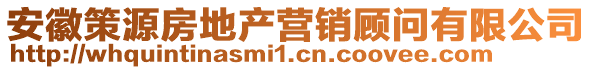 安徽策源房地產(chǎn)營銷顧問有限公司