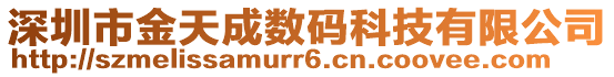深圳市金天成數(shù)碼科技有限公司