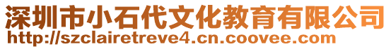 深圳市小石代文化教育有限公司