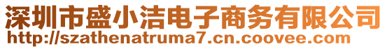 深圳市盛小潔電子商務(wù)有限公司