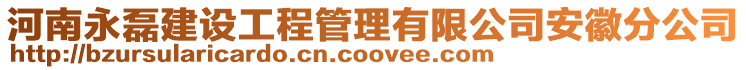 河南永磊建設工程管理有限公司安徽分公司