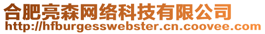 合肥亮森網絡科技有限公司