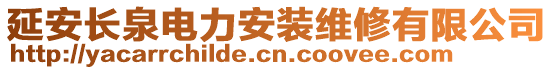 延安長泉電力安裝維修有限公司