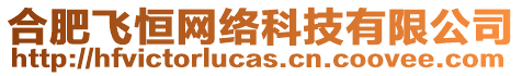 合肥飛恒網絡科技有限公司