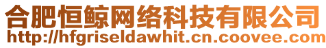 合肥恒鯨網(wǎng)絡(luò)科技有限公司
