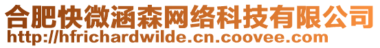 合肥快微涵森網絡科技有限公司