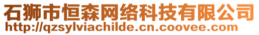 石獅市恒森網絡科技有限公司