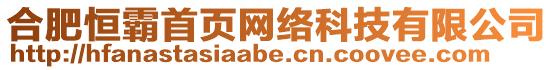合肥恒霸首頁網絡科技有限公司