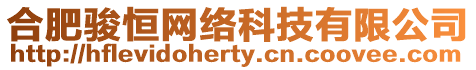 合肥駿恒網絡科技有限公司