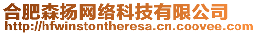 合肥森揚(yáng)網(wǎng)絡(luò)科技有限公司