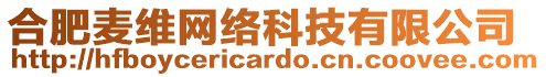 合肥麥維網絡科技有限公司