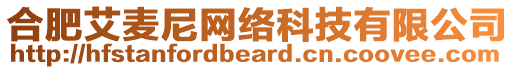 合肥艾麥尼網絡科技有限公司
