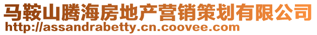 馬鞍山騰海房地產營銷策劃有限公司