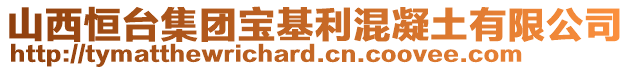 山西恒臺集團寶基利混凝土有限公司