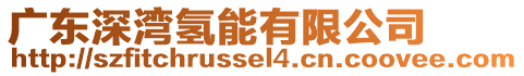 廣東深灣氫能有限公司