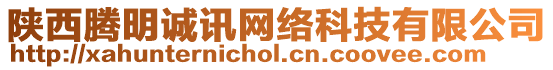 陜西騰明誠訊網絡科技有限公司