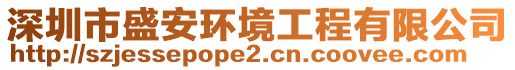深圳市盛安環(huán)境工程有限公司