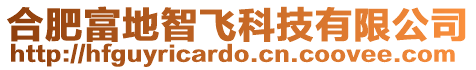 合肥富地智飛科技有限公司