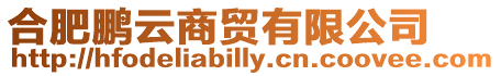 合肥鵬云商貿(mào)有限公司