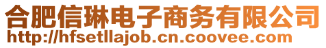 合肥信琳電子商務有限公司