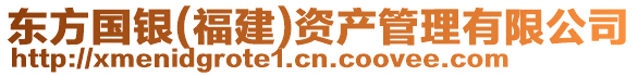 東方國銀(福建)資產管理有限公司
