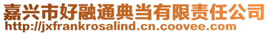 嘉興市好融通典當有限責任公司