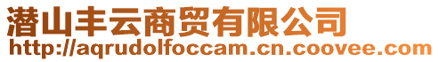 潛山豐云商貿有限公司