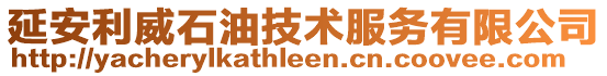 延安利威石油技術(shù)服務(wù)有限公司