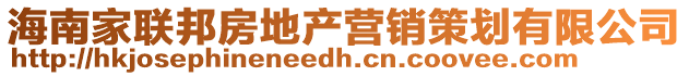 海南家聯邦房地產營銷策劃有限公司