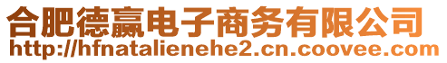 合肥德贏電子商務(wù)有限公司